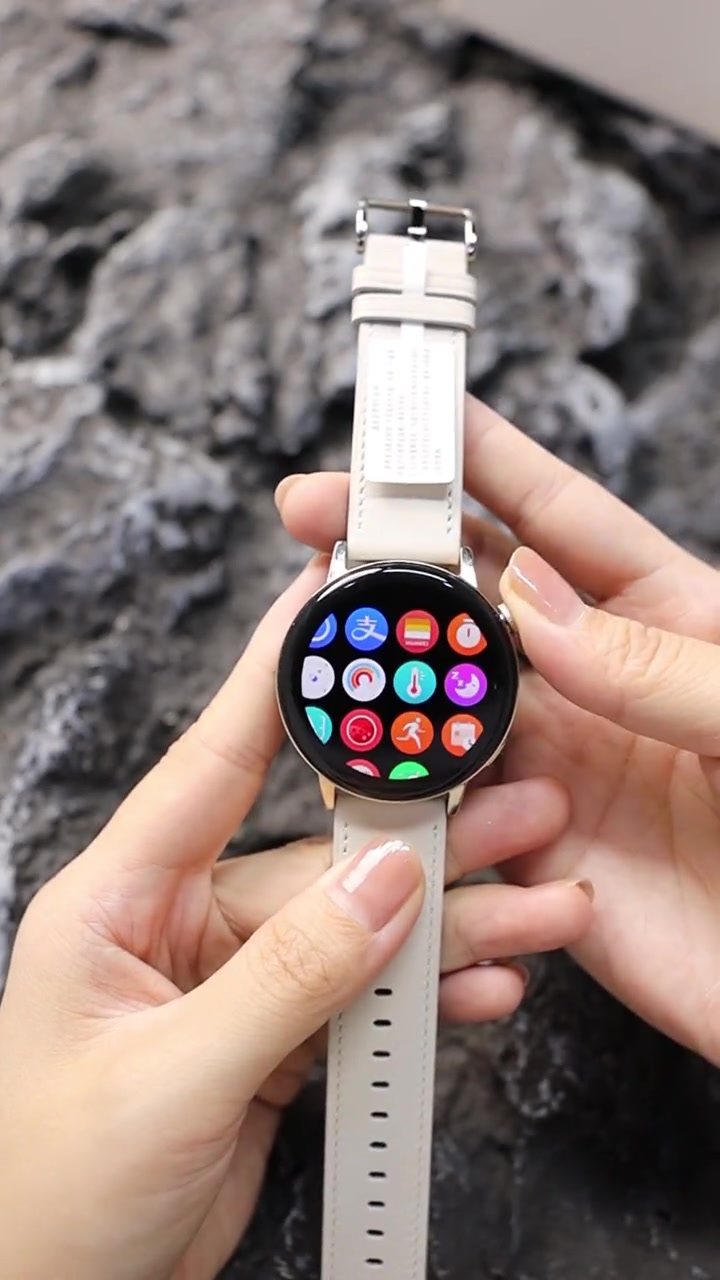 华为白天鹅智能手表介绍