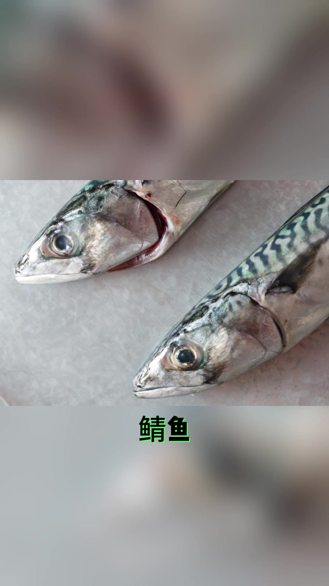 你不知道的冷门海鲜:鲭鱼