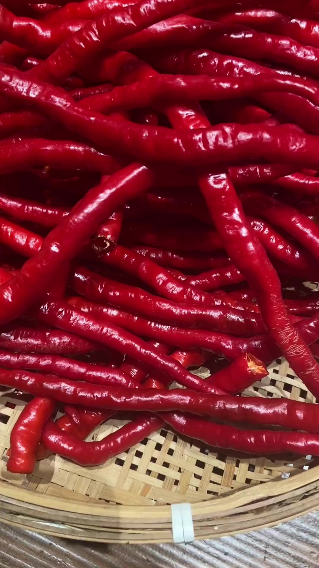 粉丝问鸡肠辣椒啥样?今儿分享红青两种,超棒!