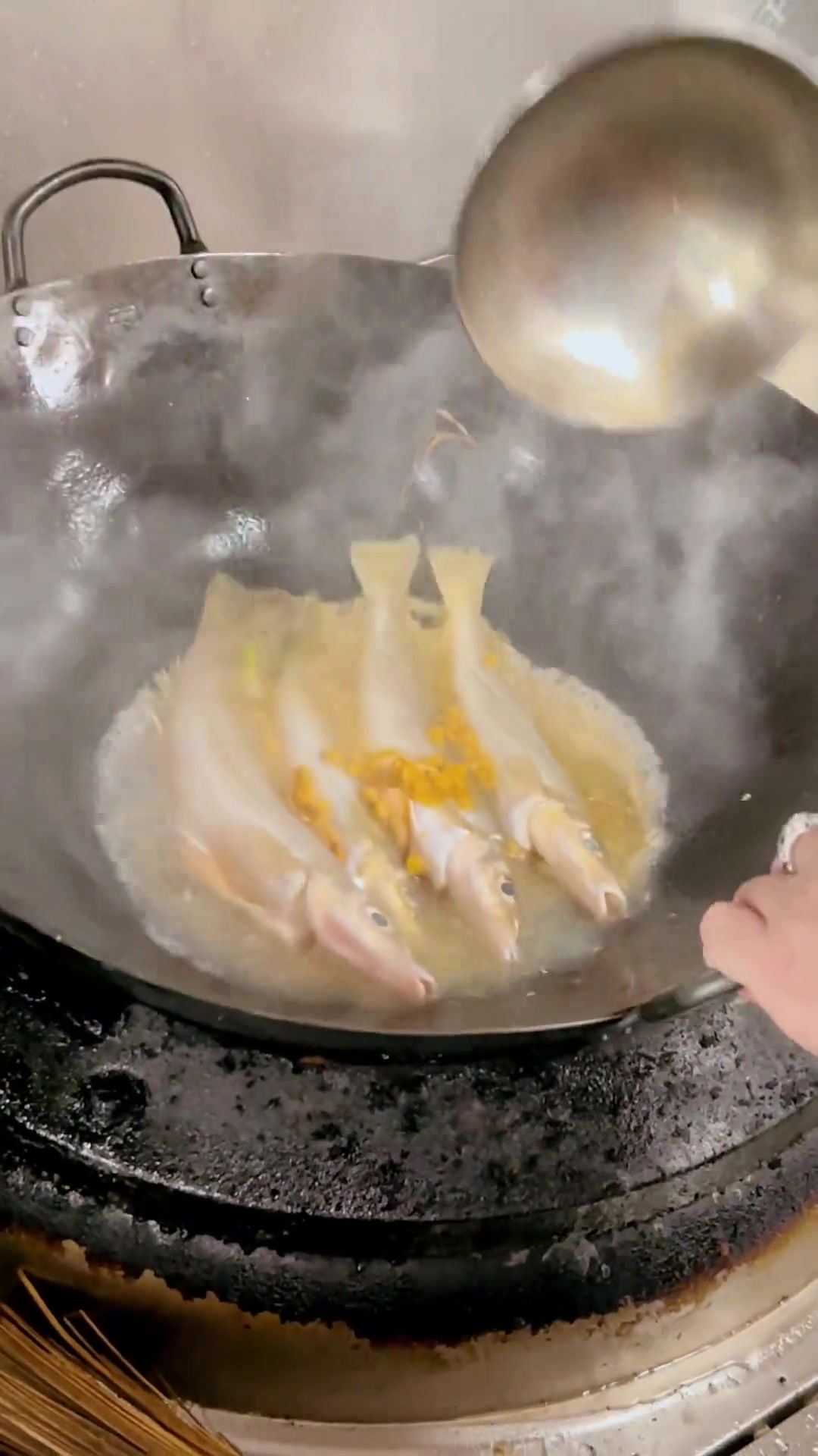 初春的梭子鱼最肥美,吃的嘎嘎香!