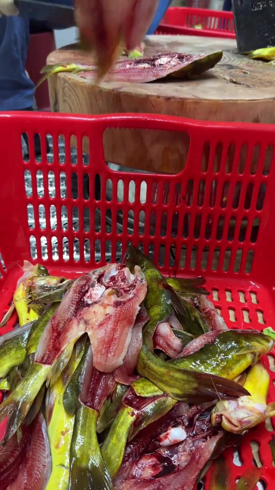 腊鱼吃过，腊肉吃过，腊肠吃过，腊黄沙鱼有吃过的吗？