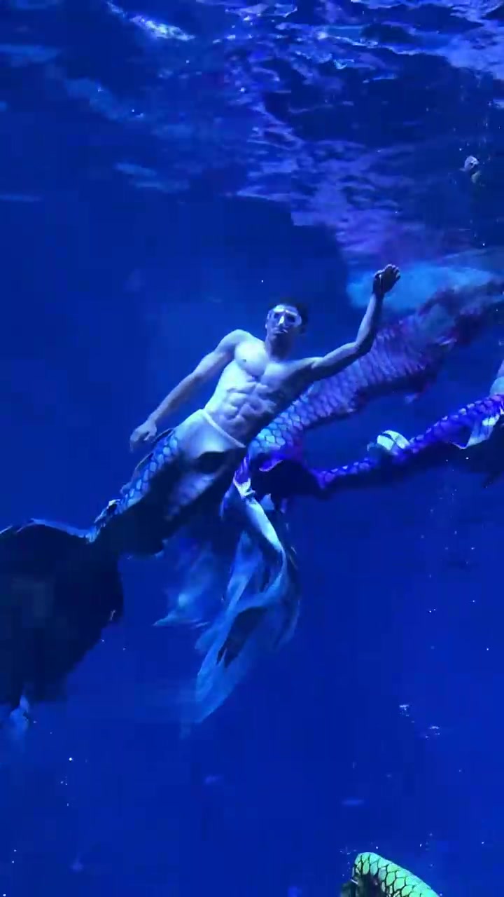 这才是我们大女人应该看的！周扬青举办活动竟然包下了整个海洋馆，还一口气请了十几位帅气的美男