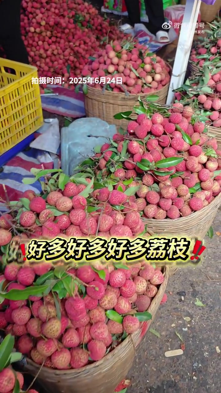 「广州的荔枝市场太好逛了吧 爱吃荔枝的朋友快冲!「馋嘴」」拥有近600年历史的萝岗荔枝市场