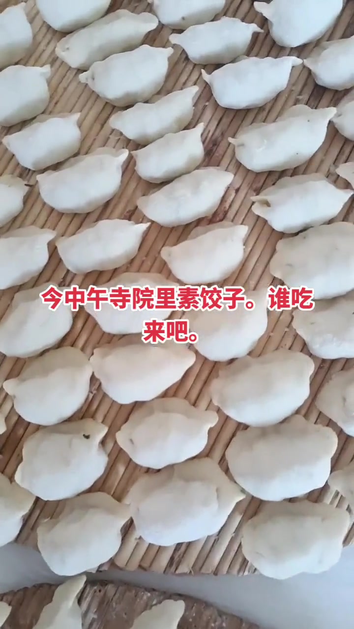 寺院素饺子,谁吃来吧