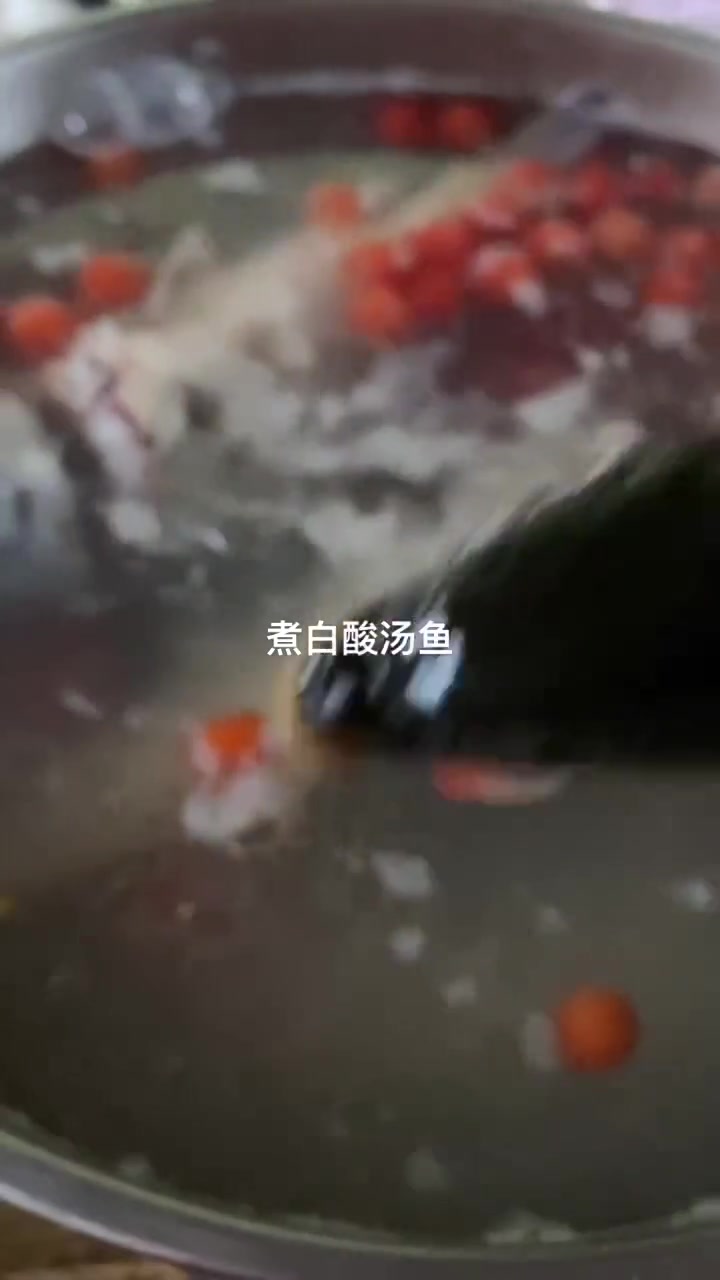 今天煮白酸汤鱼