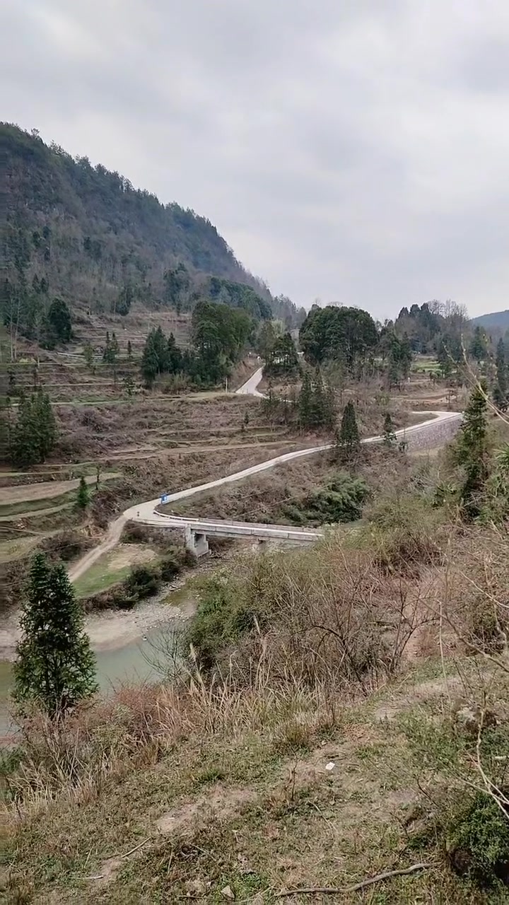 又到了吃野菜的季节,野葱、菊台、猫鹃、香椿……还有好多好多,远方的朋友,欢迎来我家乡