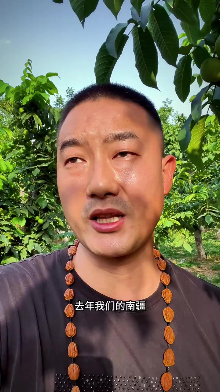 精品文玩核桃,连枝果配对,稀有珍贵