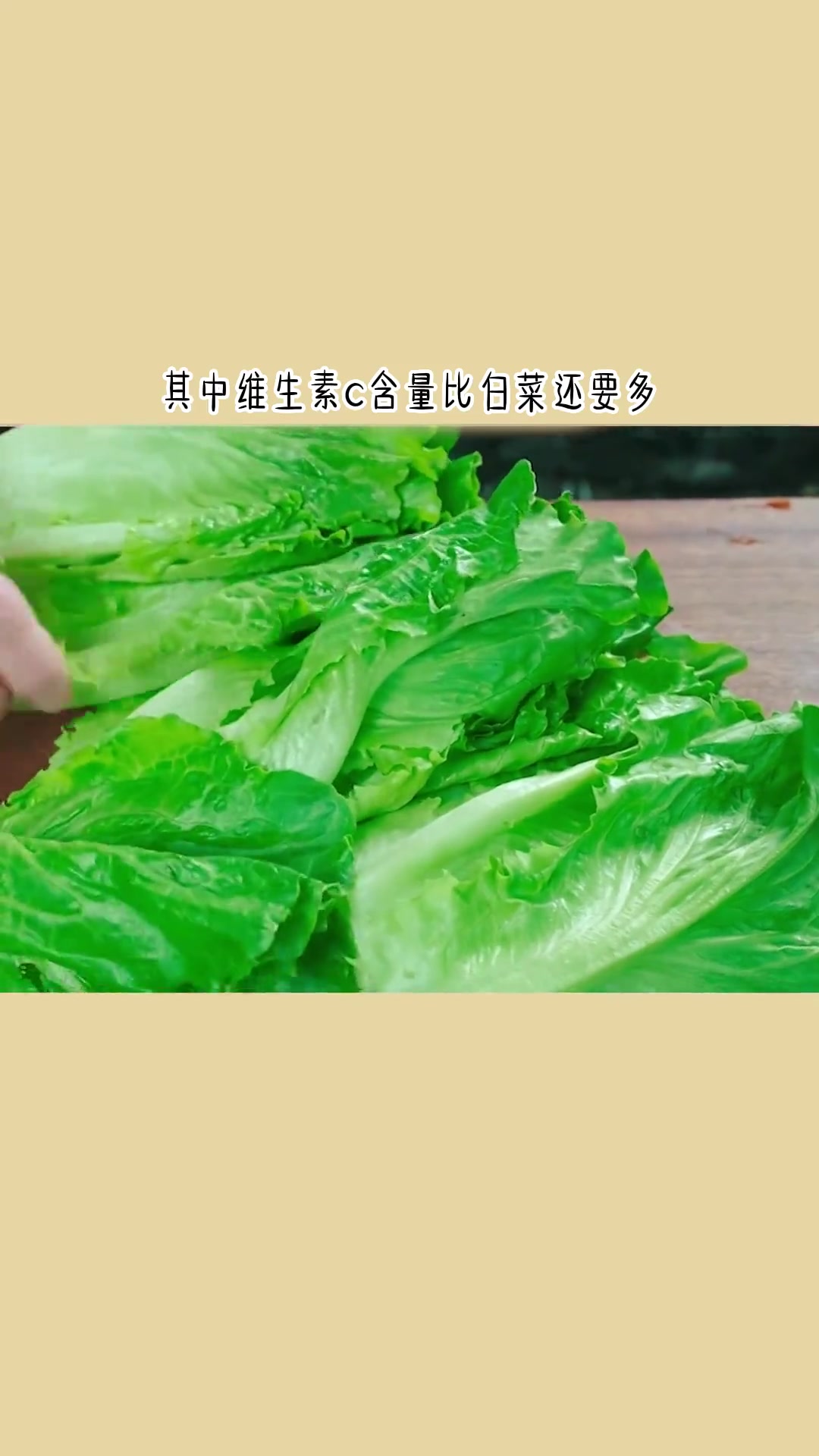 生菜热量和含糖非常低，营养价值丰富，其中维生素C含量比白菜还要多！生菜熟吃更好哦！
