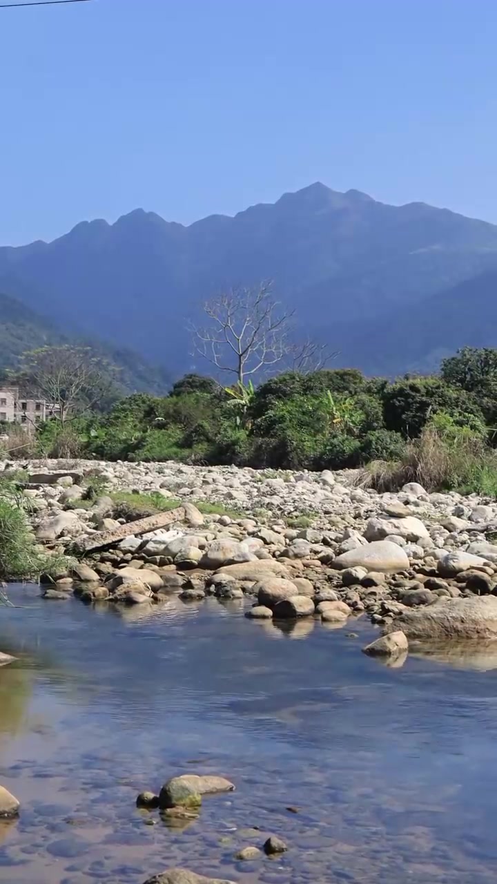 山间小溪野采溪吻虾虎和文胸兆