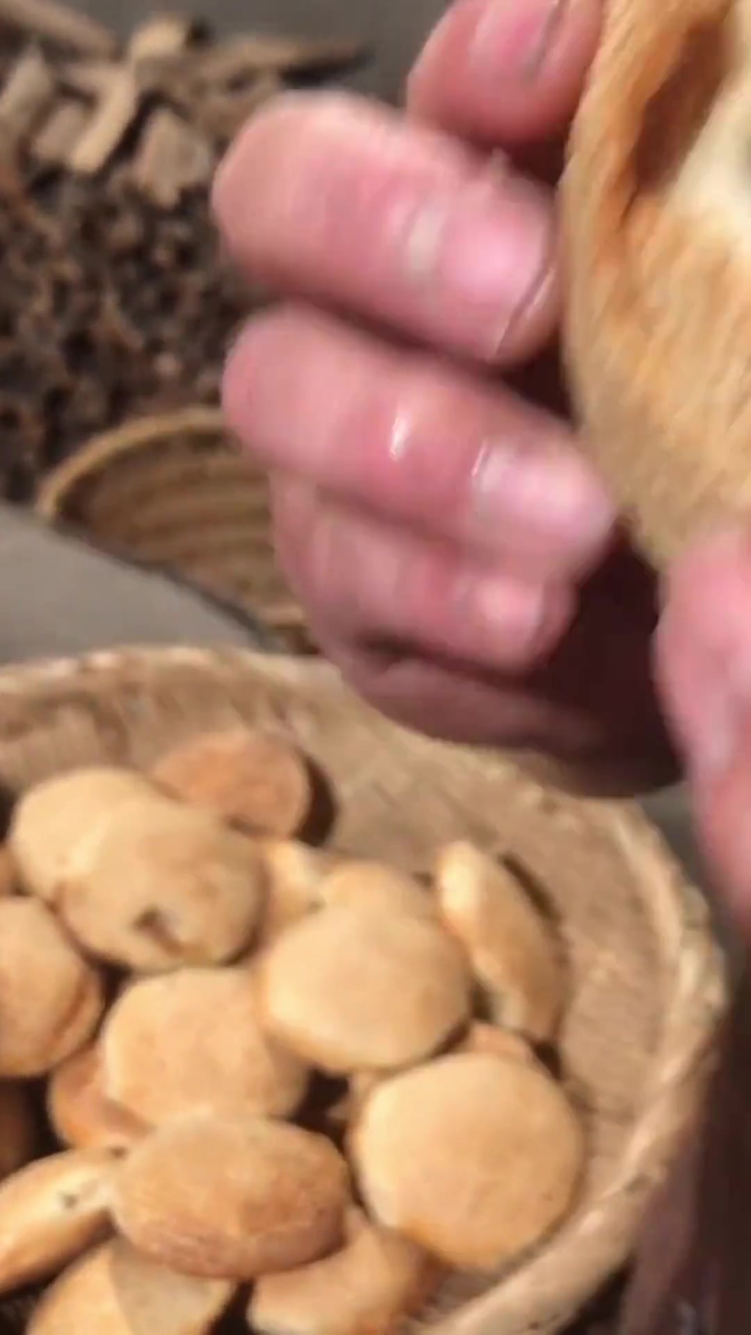 福建福清紫菜光饼,很多人没有尝过