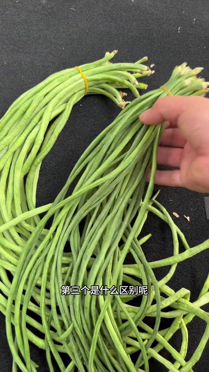 豇豆怎么挑?菜豆怎么挑?豇豆和菜豆的区别!又到了豆撅子泛滥的季节!