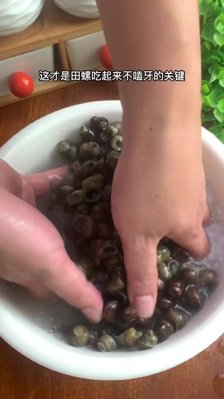 天气热又到了嗦螺的季节，这道简单的家常版爆炒田螺送给你们