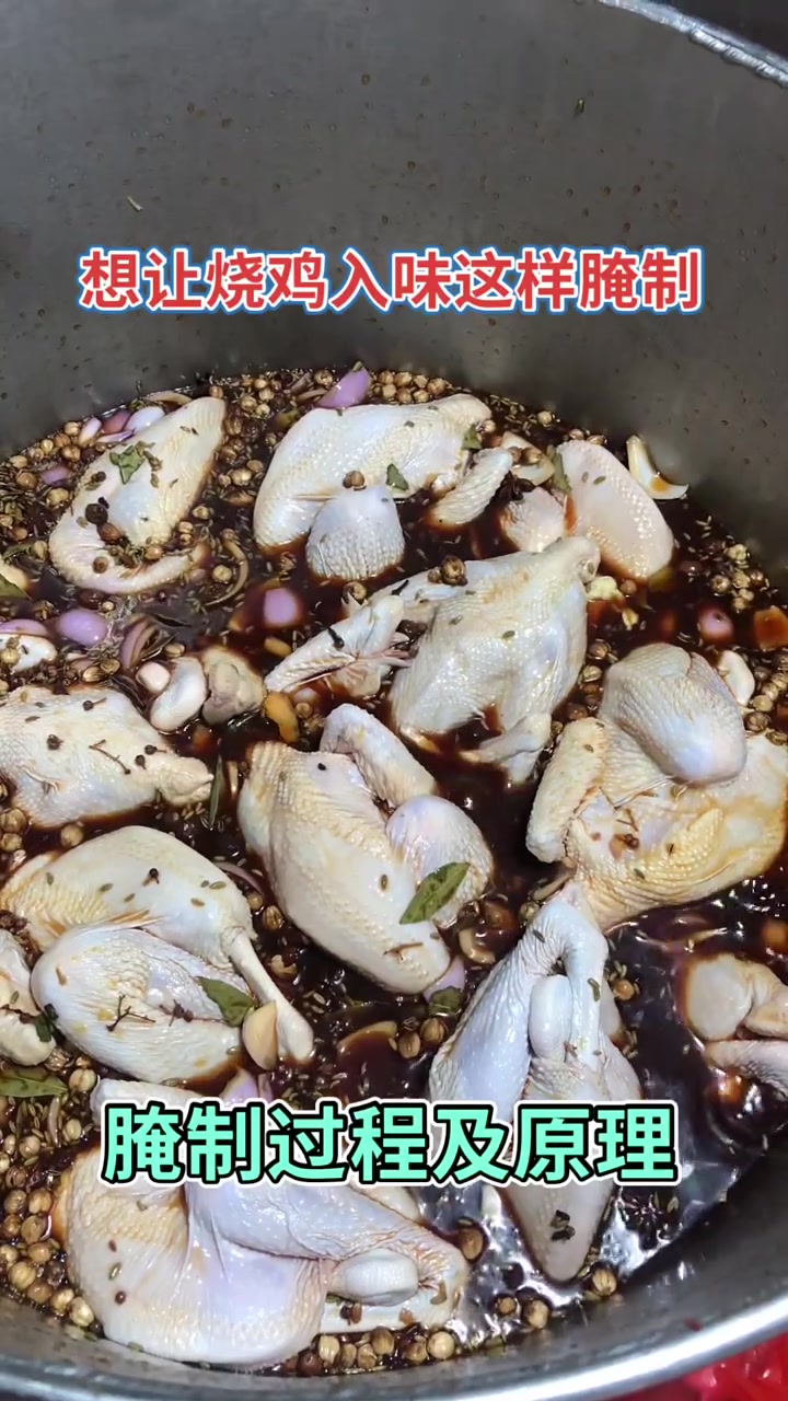 烧鸡入味秘籍！白条鸡处理+腌制，超简单！