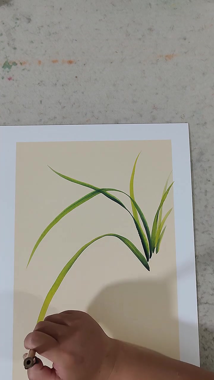 画兰花 手绘艺术 墙面贴画 画兰花