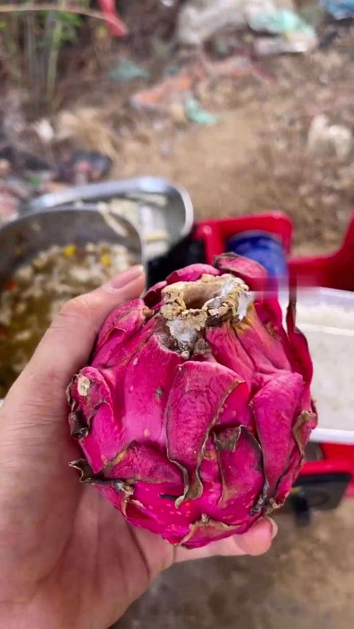 今天我这个天桥高级米其林大厨做个火龙果鸡蛋炒饭,真的是太香了