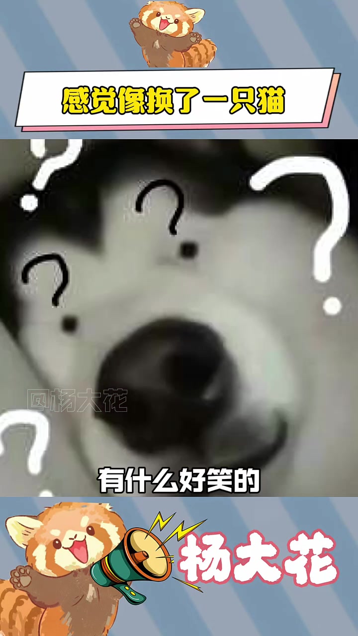 剃毛前:鸡毛掸子;剃毛后:马桶筛子
