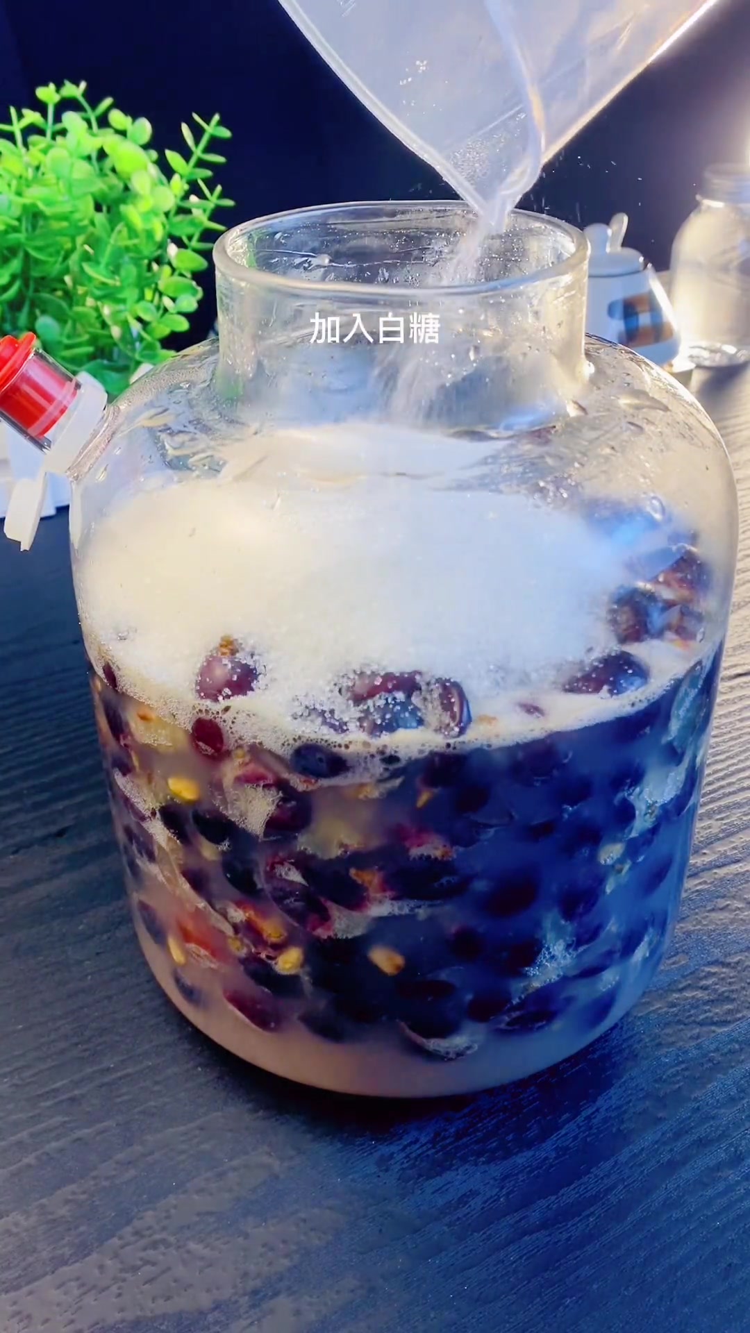 如何安全的在家酿造葡萄酒，今天我来分享给大家
