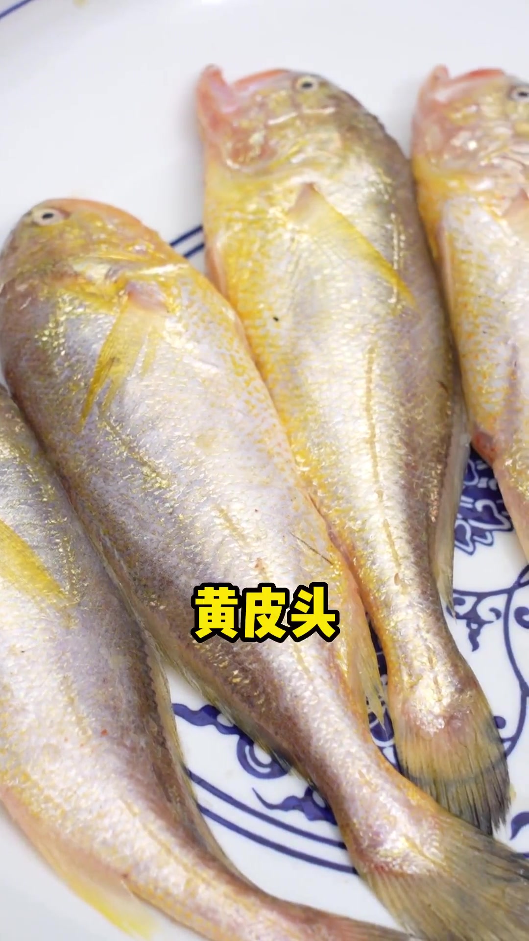 悦江海，爱启东，老陆尤爱启东海鲜！