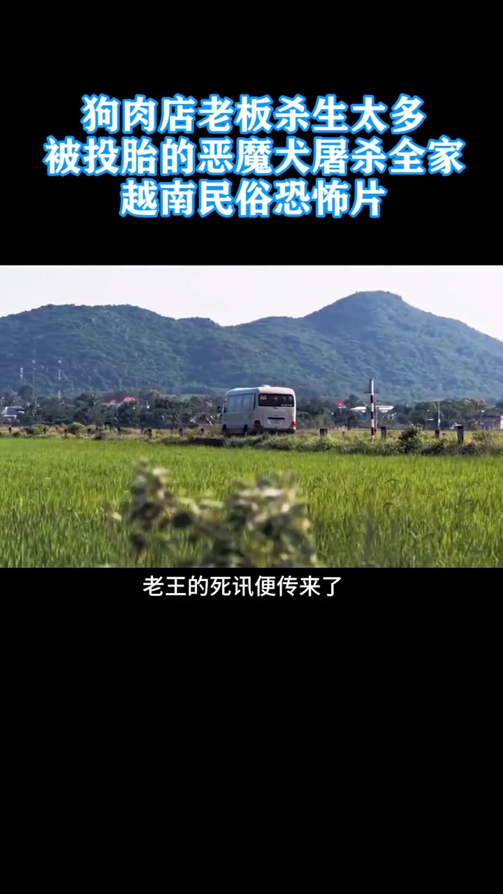 狗肉店老板杀生太多，被投胎的恶魔犬屠杀全家，越南民俗恐怖片