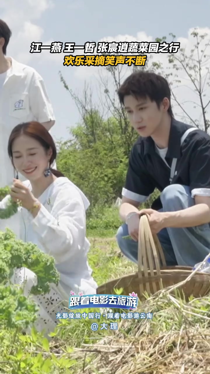 跟着电影游云南,江一燕王一哲张宸逍蔬菜园之行