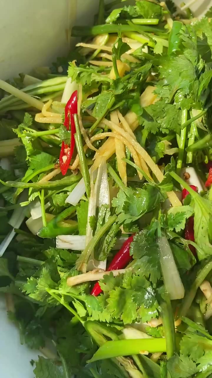 葱姜蒜辣椒香菜不止是配料，他们组合在一起是一道美味的特色美食五毒。徐州特色美食之一！看到香