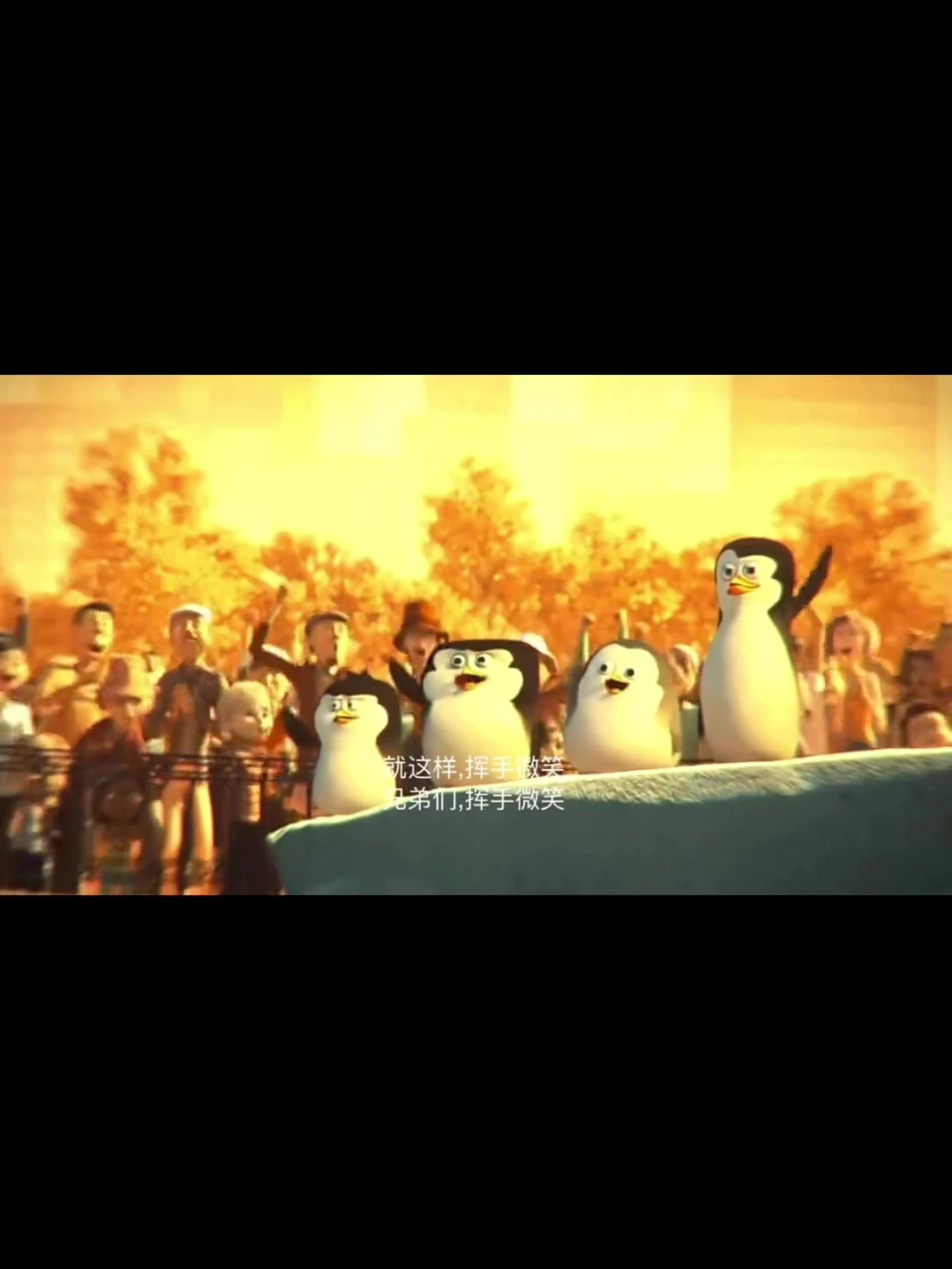 马达加斯加的企鹅