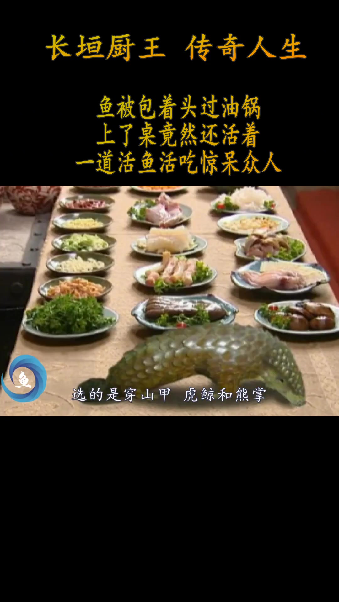 厨王：厨师比赛展绝技