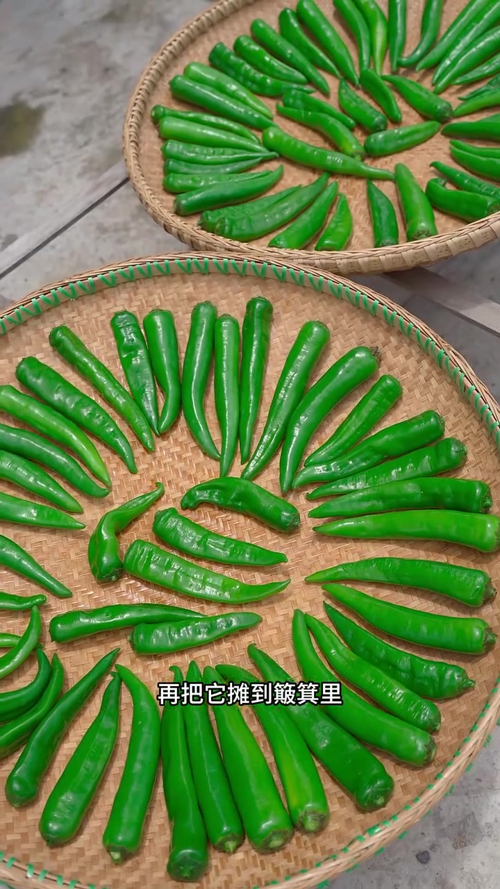 来看看湖南妈妈做的白辣椒,又脆又有嚼劲,用来做白辣椒炒牛肉炒腊肉都特别好吃