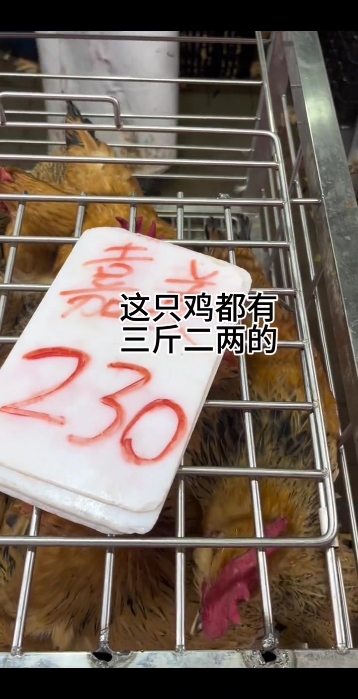 香港的活鸡究竟有多贵呢