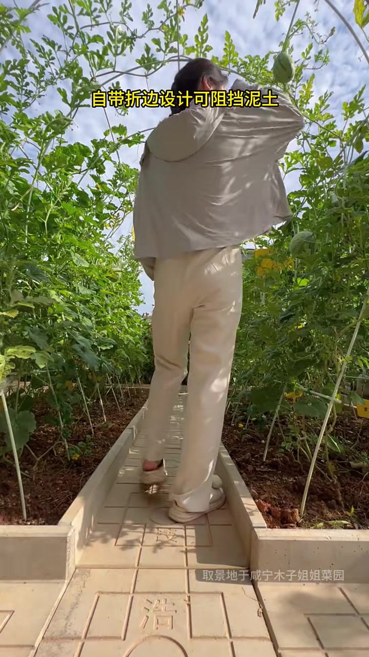 老公为我改造一个这样的花园式菜园,真的很值!