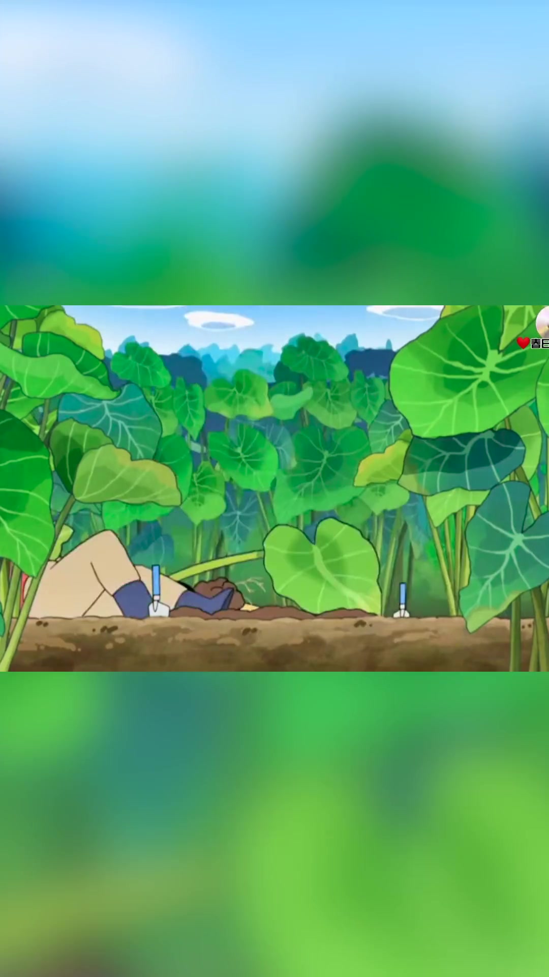 CKD人群饮食分享-清蒸芋头