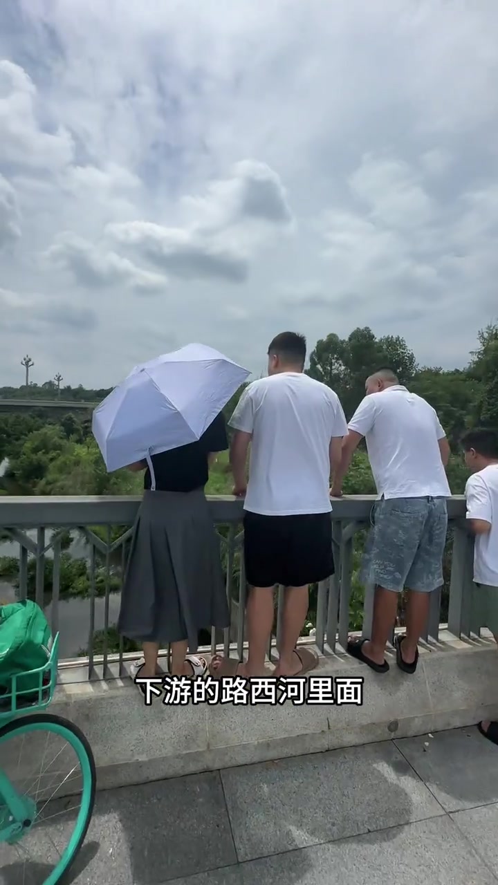 好多野生大鲢鱼,兴隆湖放水