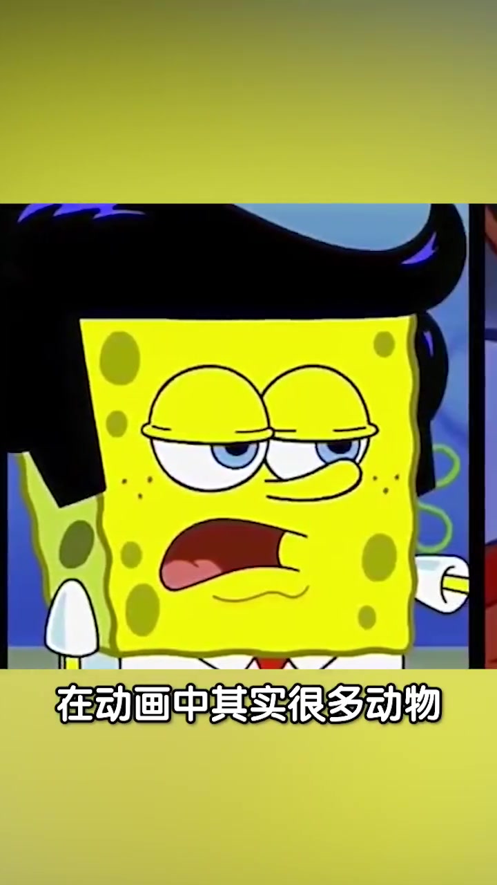 海绵宝宝的原型长啥样