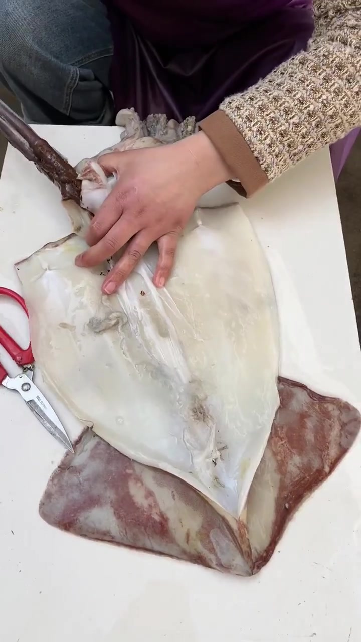 处理超大个鱿鱼,这些部位千万别吃!