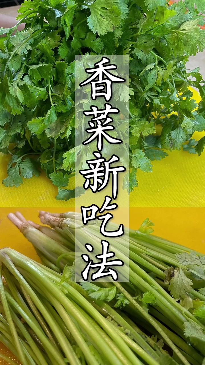 香菜新吃法简单好吃这样做能存一年快试试