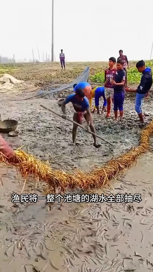 乾涸池塘惊奇丰收！自制海钓诱饵的捕鱼实录