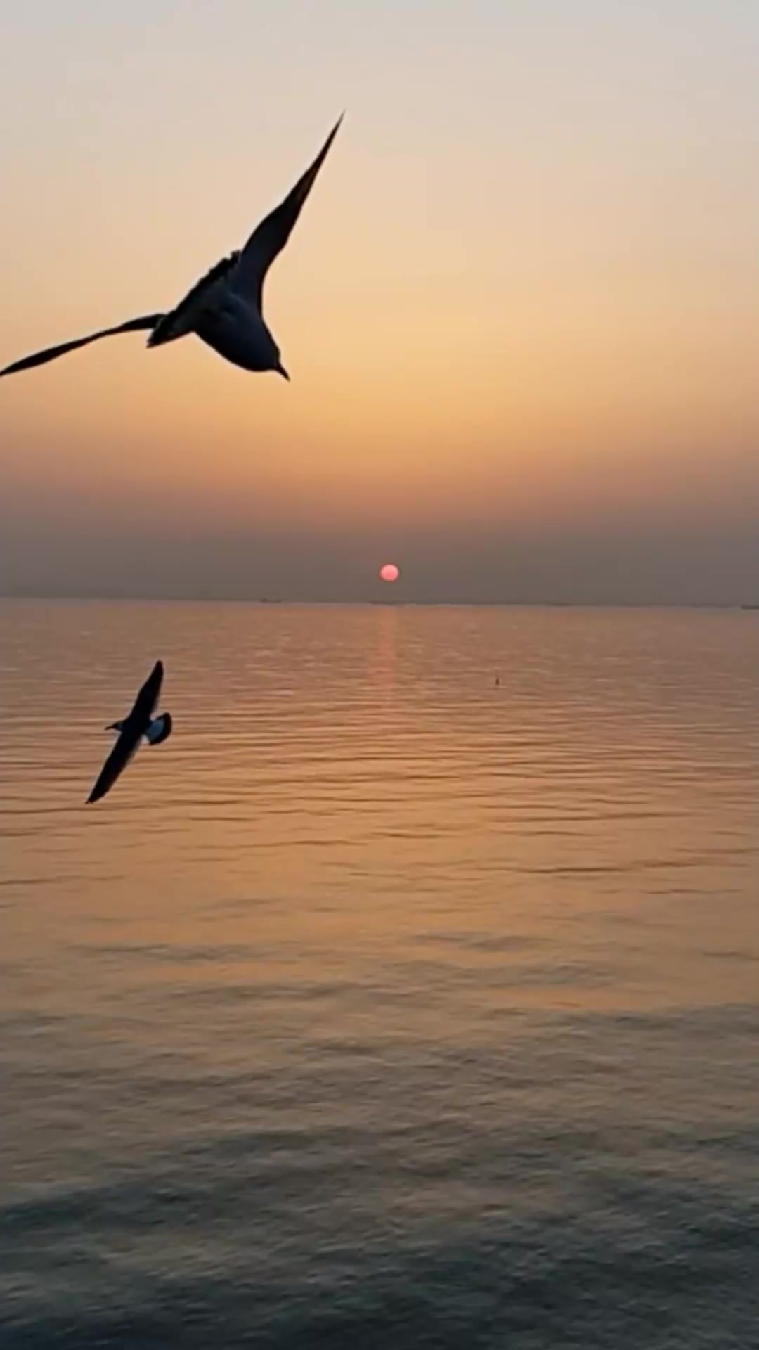 dj小鱼儿《夜夜夜漫长》