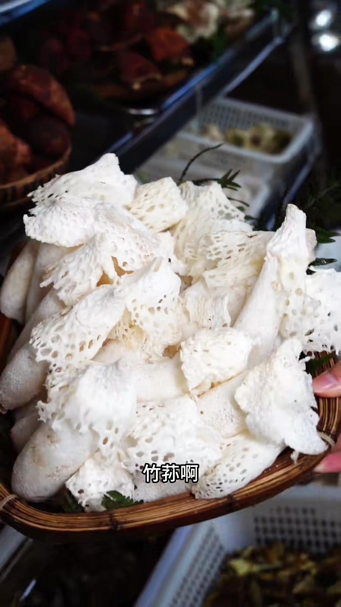 武定70后老哥，实诚做生意，几十块菌子壮鸡自助