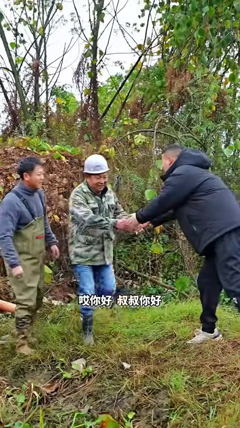 花3000包下一个1990年养的甲鱼塘,没想到里面发现巨型甲鱼和黄金甲鱼! 【在养殖场安全