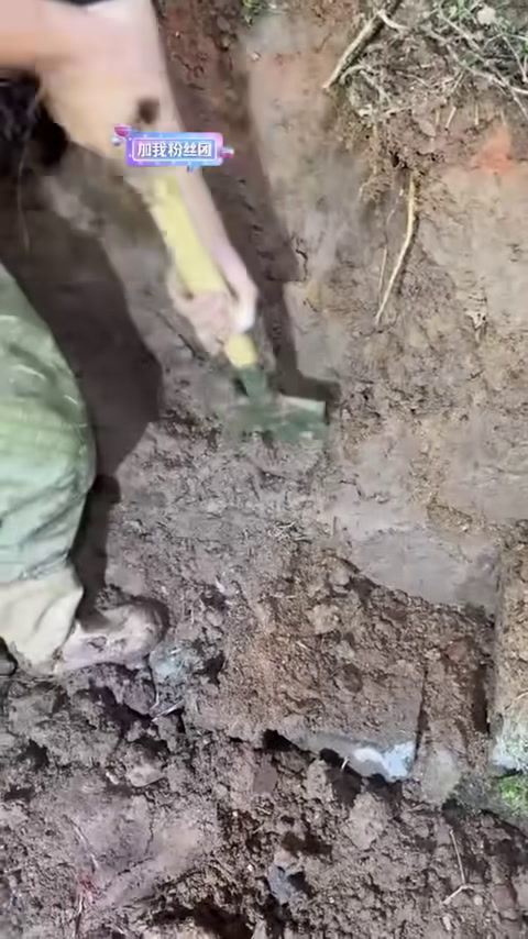 继续在百宝塘找大货,看看能不能上大货! 【在养殖场安全,请大家不要模仿】(2)