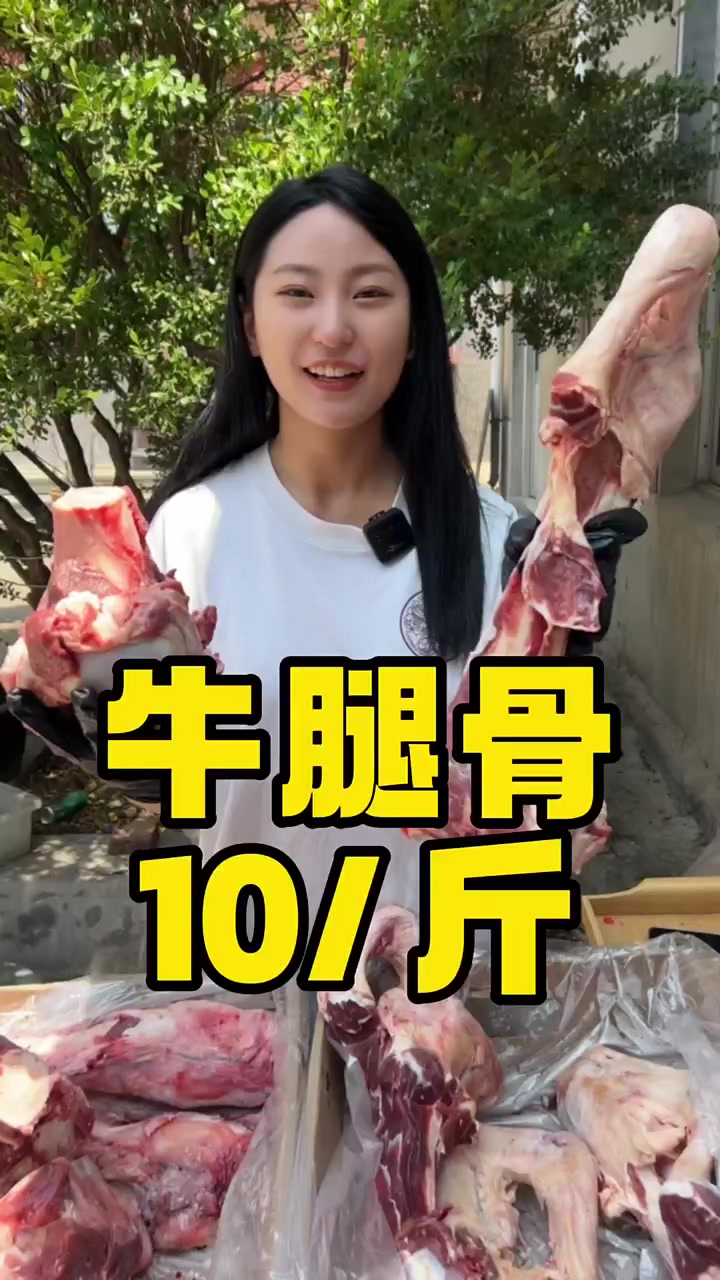 牛前腿骨带肉,后腿骨带筋,炖上一锅喝汤吃肉!