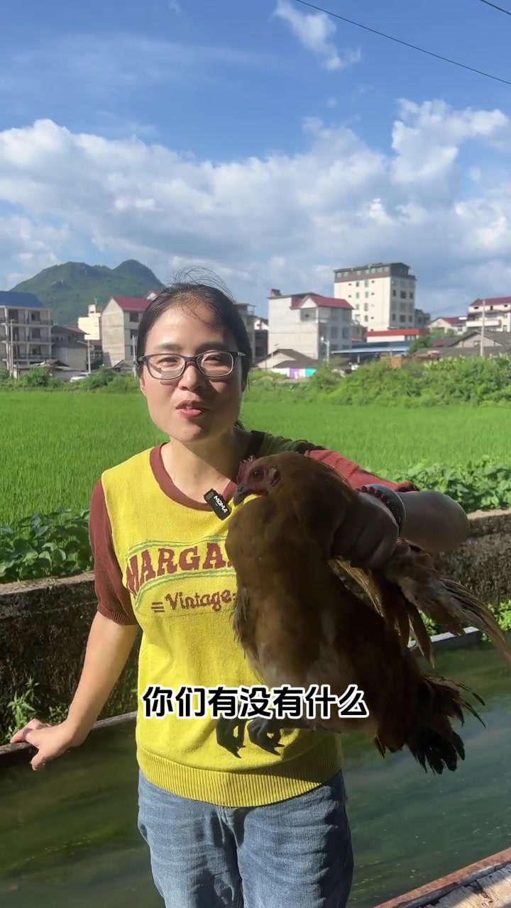 未打鸣的小公鸡，村里老人常说吃了小公鸡可以长个子，适合孩子的健康鸡汤！