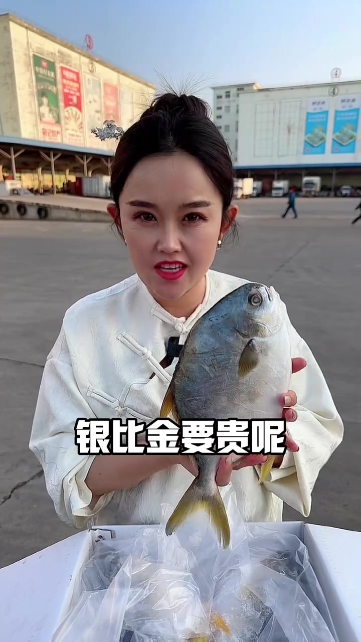 常吃的一般就四种红鲳鱼,和刀鲳鱼