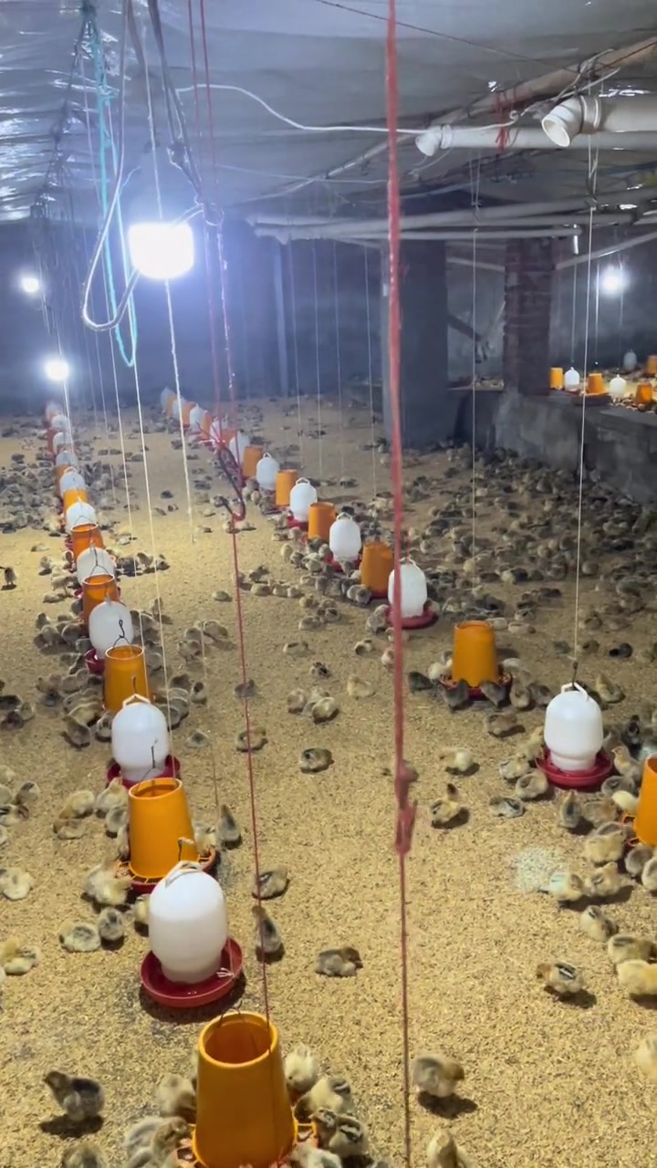 目前看起还不错