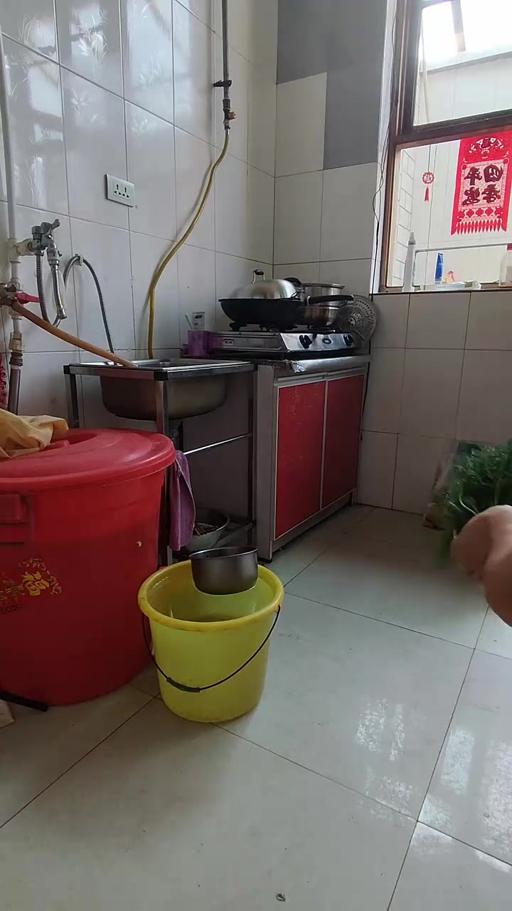 阴天凉快,赶紧包了顿茴香馅饺子解馋~夏天做饭像蒸桑拿,但为了这口鲜香也值了!热浪里的小确幸