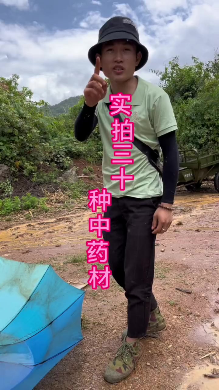 带大家实拍山中三十种中药材！