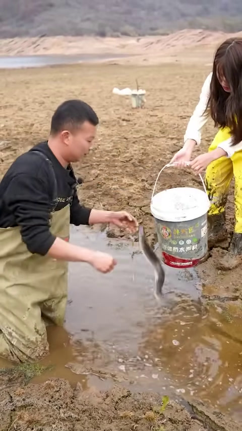 荒废5年的泉水鱼塘,没想里面有这么多的大货 【在养殖场安全,请大家不要模仿】(10)