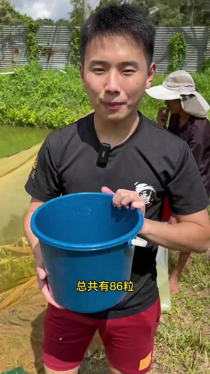 分享一段农村的视频