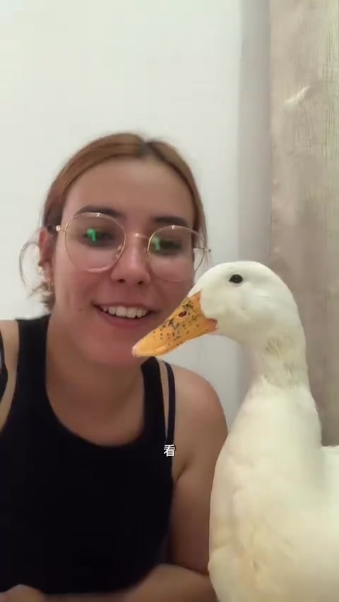 你见过鸭子笑吗