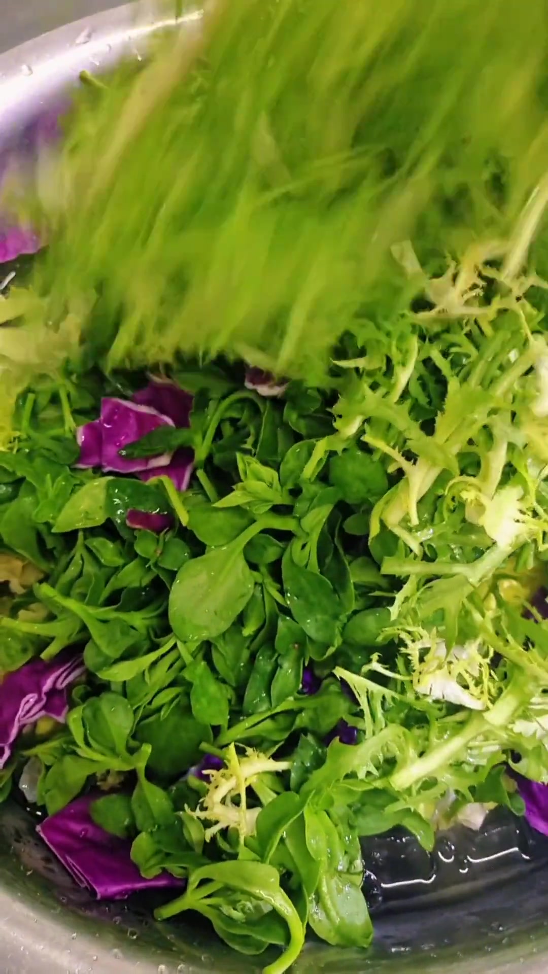 冰镇蔬菜沙拉，这个季节很适合，视频里用到的有，苦菊，紫包菜，罗马生菜，球生菜，田七，芒果，